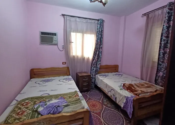 Nice Apartment